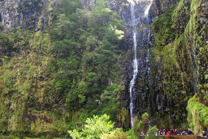 full-day-rabacal-levada-walk-from-funchal