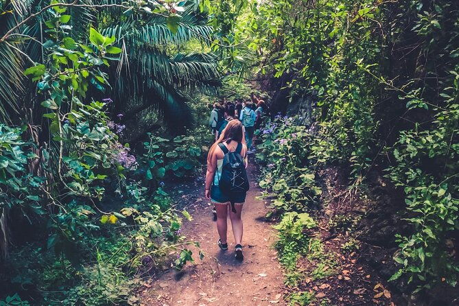 full-day-rainforest-tour-with-tasting-and-swimming-time-%e3%83%84