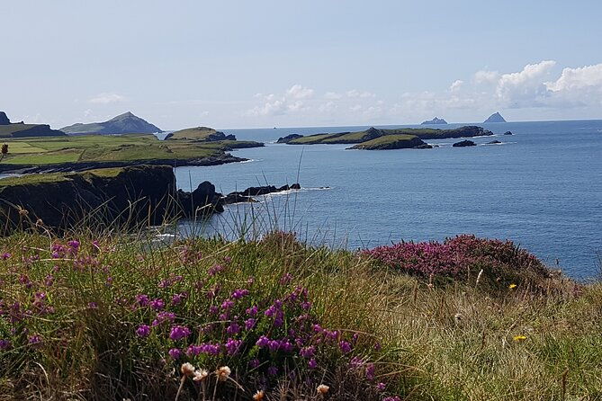 full-day-ring-of-kerry-tour-from-killarney