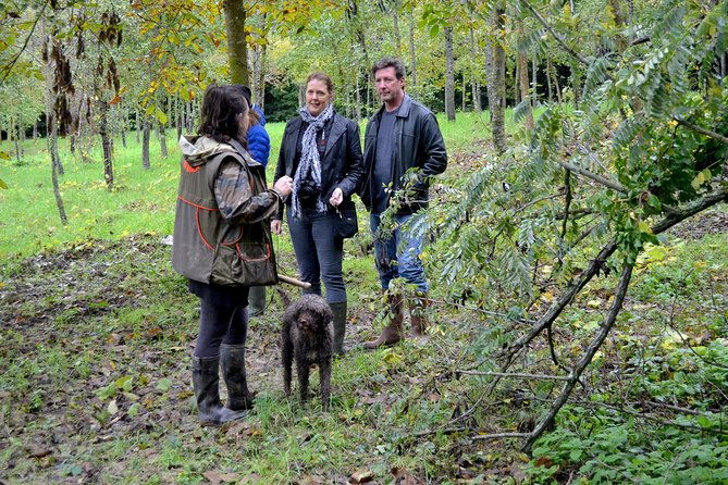 full-day-small-group-truffle-hunting-in-tuscany-with-lunch