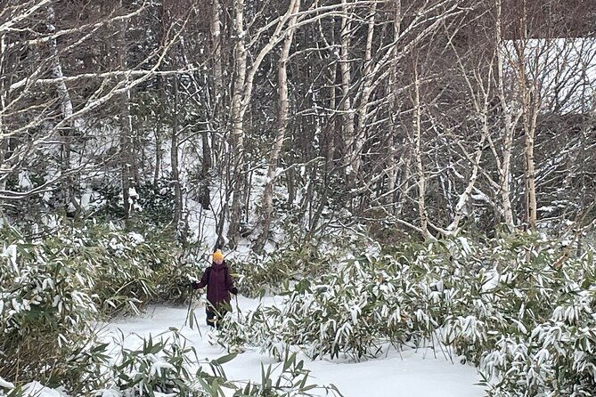 full-day-snowshoeing-adventures-with-onsen