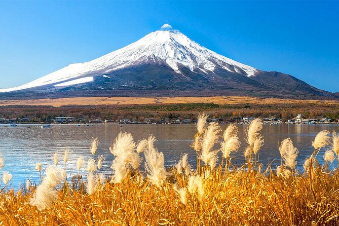 full-day-tour-at-mt-fuji-onsen-lake-kawaguchi-and-yamanaka