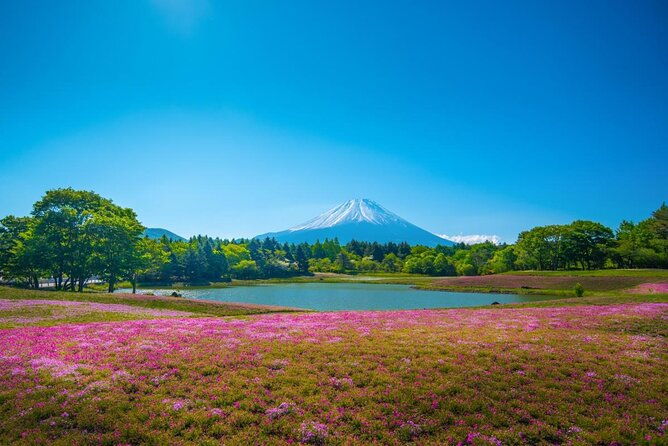 full-day-tour-to-mount-fuji-in-spanish