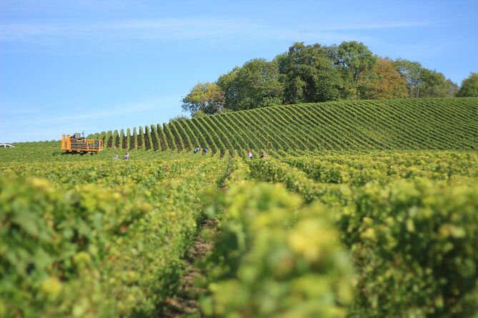 full-rioja-wine-tour-with-lunch-from-san-sebastian-private-tour