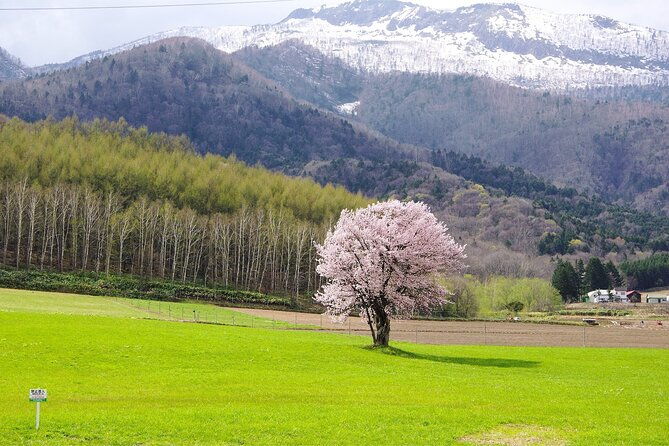 furano-private-customizable-full-day-tour