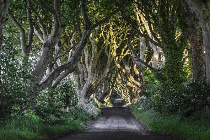 game-of-thrones-private-audi-a6-tour-with-richard-the-wildling