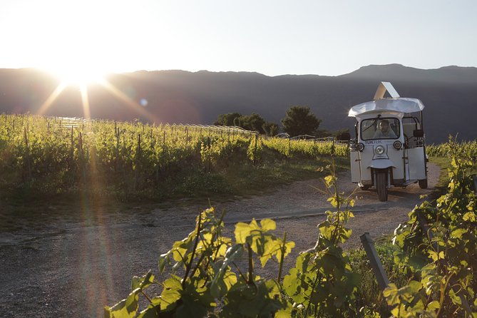 geneva-panoramic-tasting-vineyards-tour-in-an-tuk-tuk