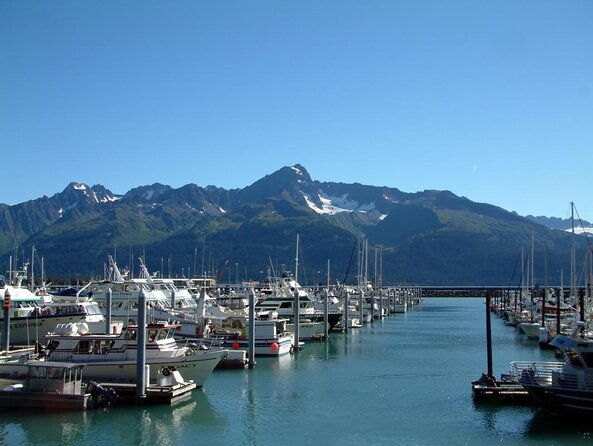 glacier-and-mountain-viewing-tour