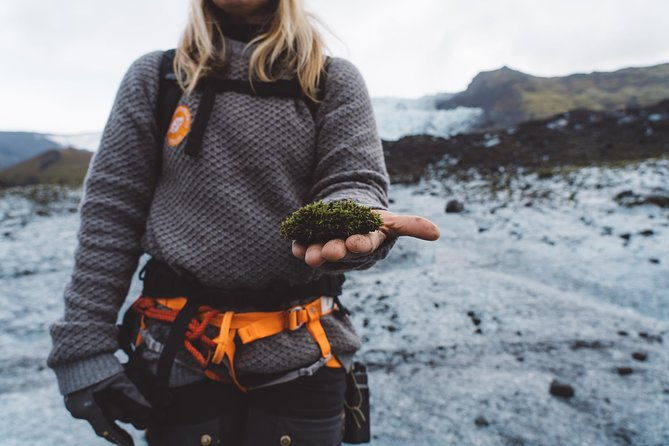 glacier-encounter-in-iceland