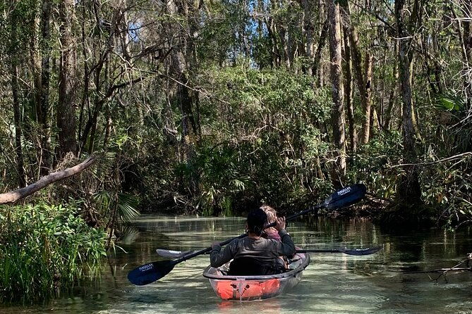 glass-bottom-kayak-eco-tour-through-rainbow-springs