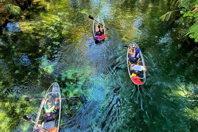 glass-bottom-kayak-tours-of-silver-springs