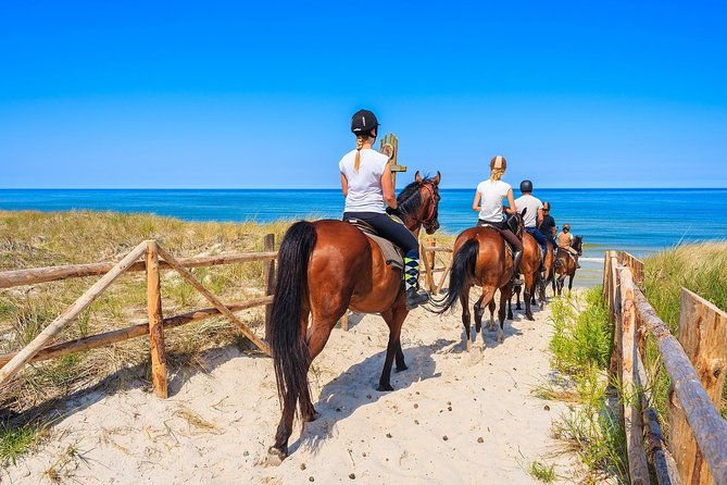 golden-hour-gallop-evening-ride-in-paros