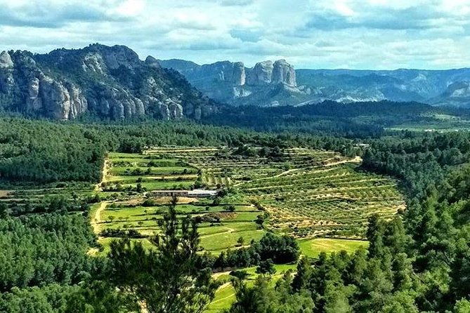 greenway-section-cretas-horta-de-sant-joan-11km-90-descending-10-flat