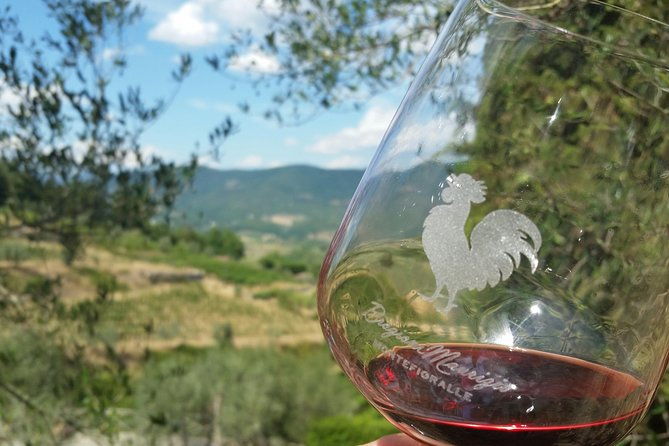 greve-in-chianti-wine-tasting-and-winery-tour
