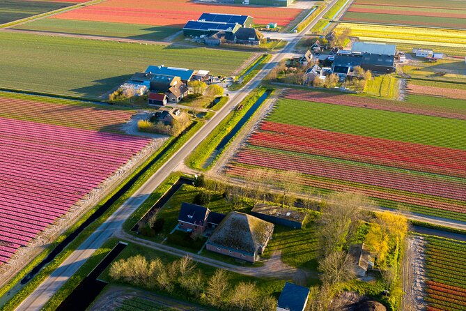 guided-bike-tour-along-the-dutch-tulip-fields-in-noord-holland