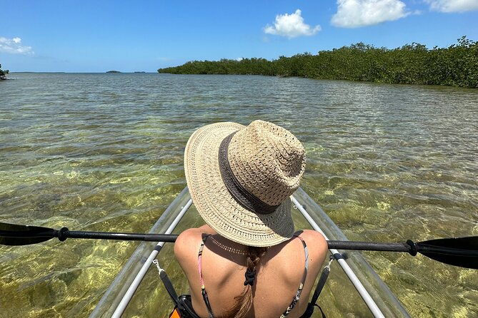 guided-clear-kayak-eco-tour-near-key-west