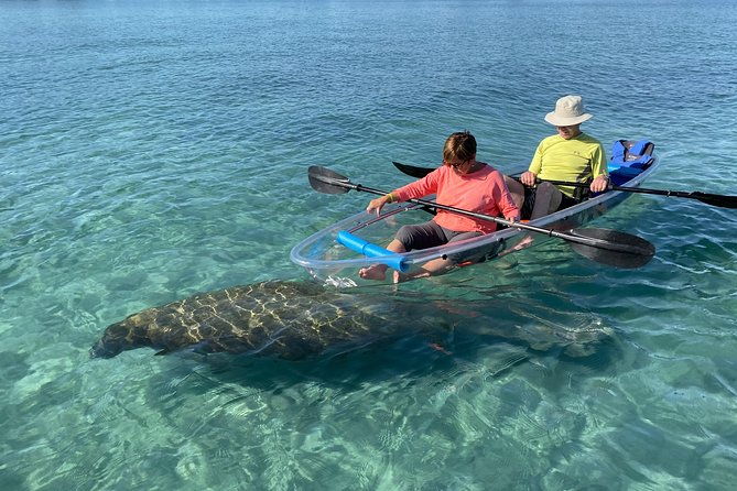guided-clear-kayak-eco-tour-of-jupiter