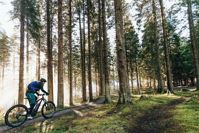 guided-e-bike-day-trips-dorset