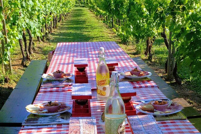 guided-e-bike-tour-with-wine-tasting-from-lucca