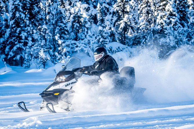 guided-fairbanks-snowmobile-tour