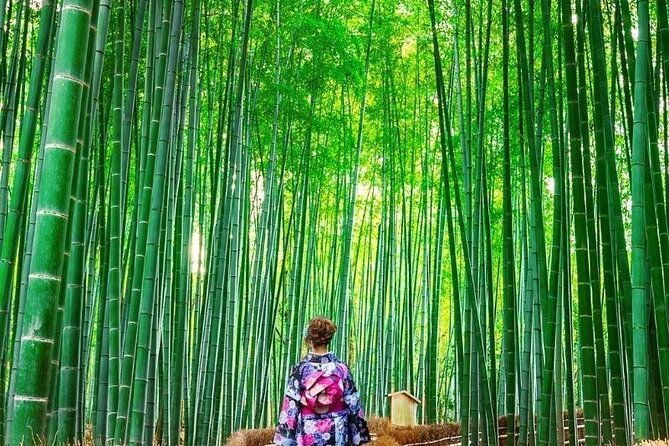 guided-kyoto-city-cherry-blossom-one-day-private-tour