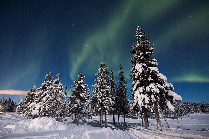 guided-northern-lights-tour-at-kiruna