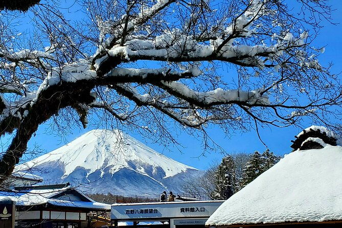 guided-private-mt-fuji-and-hakone-tour-green-number-plates