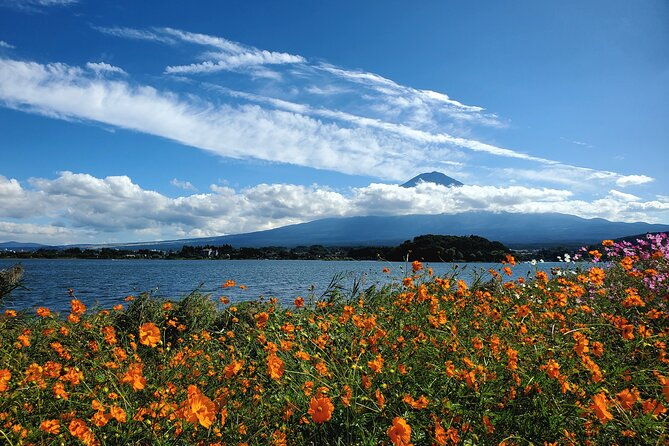 guided-shimizu-port-to-mt-fuji-private-tour-green-number-plates
