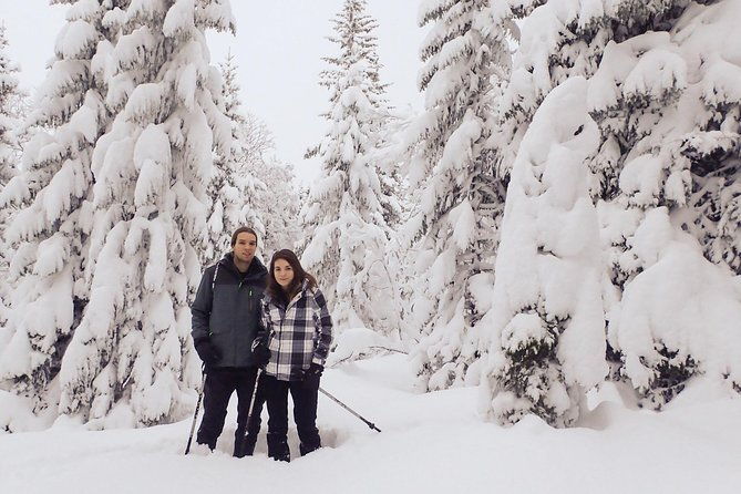 guided-snowshoe-walk-on-tromsoya-island-in-tromso