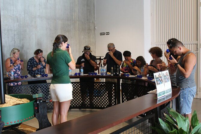 guided-tour-and-olive-oil-tasting-in-alhaurin-el-grande-malaga
