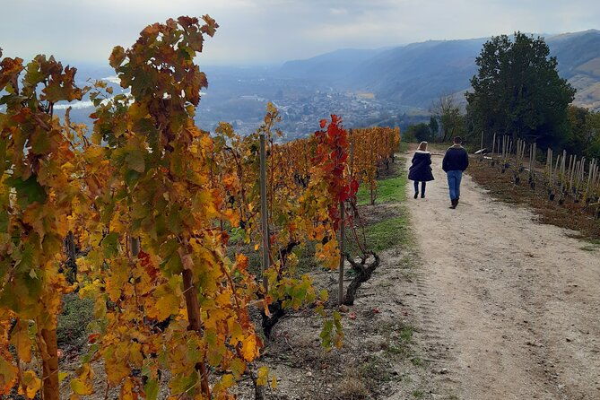 guided-tour-and-wine-tasting-northern-rhone-valley