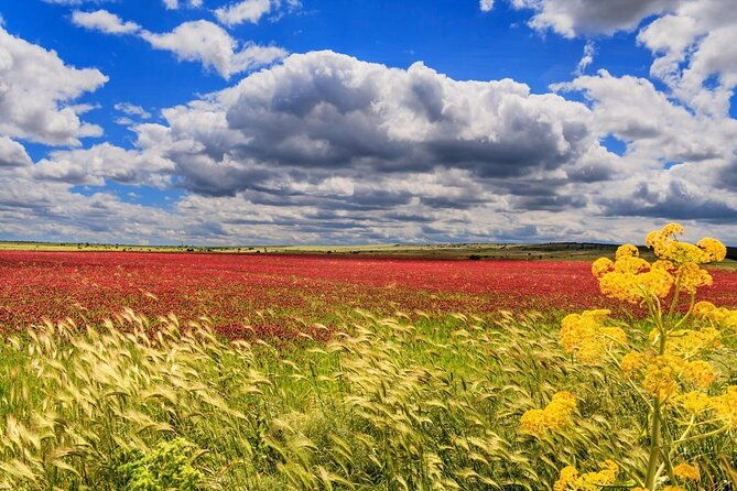 guided-tour-of-parco-murgia