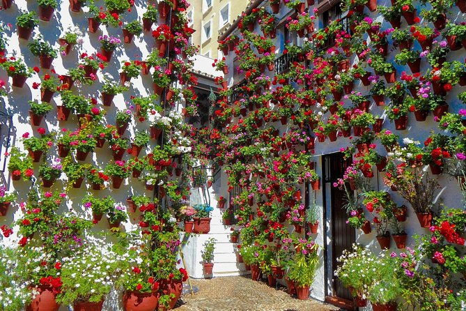 guided-tour-to-the-popular-patios-of-cordoba