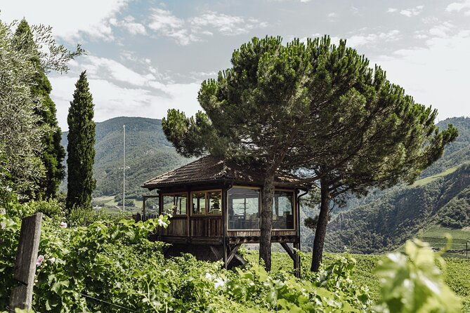 guided-winery-tour-with-tasting-in-bolzano-at-the-skywine-pavillon