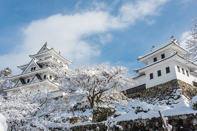 gujo-hida-takayama-and-shirakawa-go-day-tour-from-nagoya