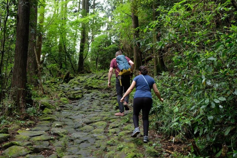 hakone-hachiri-old-tokaido-highway-hiking-half-day-tour
