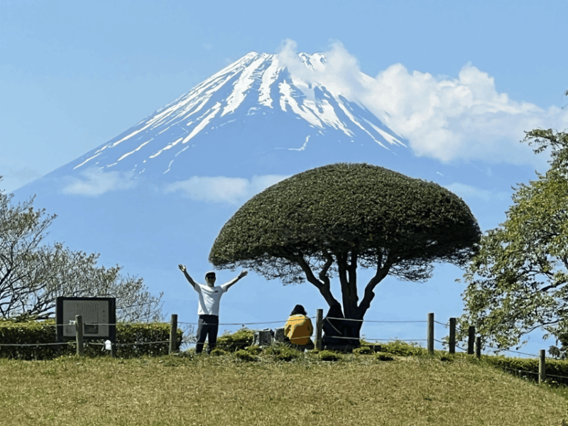 hakone-hachiri-old-tokaido-highway-hiking-tour