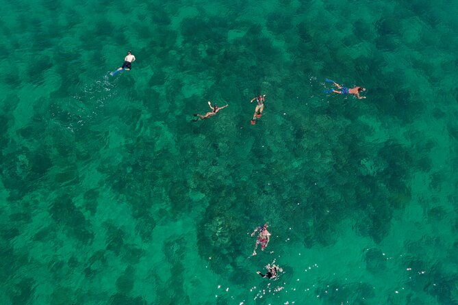 half-day-morning-trip-from-key-west-with-kayaking-and-snorkeling
