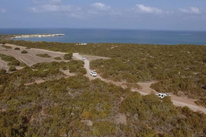 half-day-safari-tour-to-akamas-peninsula-from-paphos