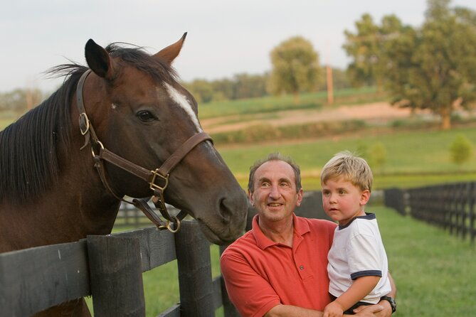 half-day-thoroughbred-horse-farm-tour-in-kentucky