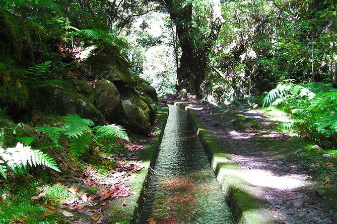 hidden-corners-levada-walk-from-funchal