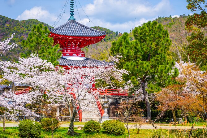 hidden-temples-in-kyoto-a-self-guided-zen-tour