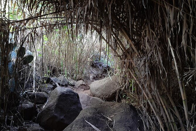 hiking-in-waterfalls-rainforest-by-2-native-guides