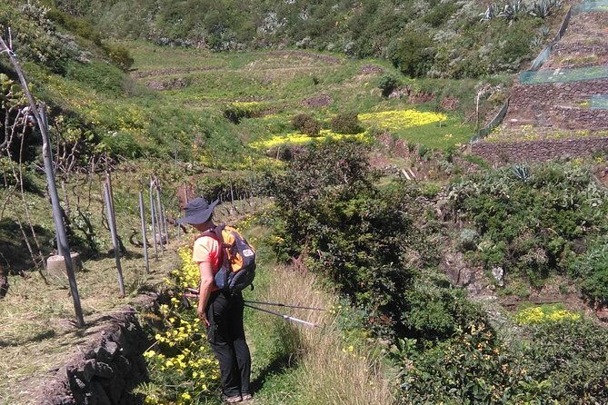 hiking-tour-in-the-anaga-biosphere-reserve-in-tenerife