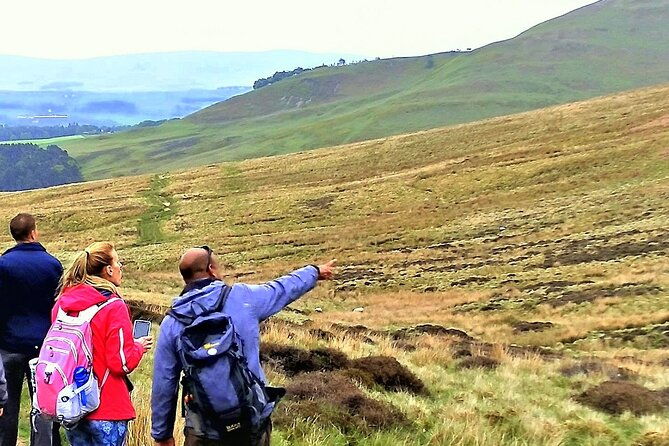 hill-nature-hike-discover-real-edinburgh-with-a-local-expert
