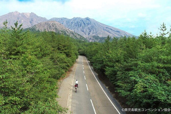 historical-hill-climb-e-bike-tour-to-sakurajimas-peak-2