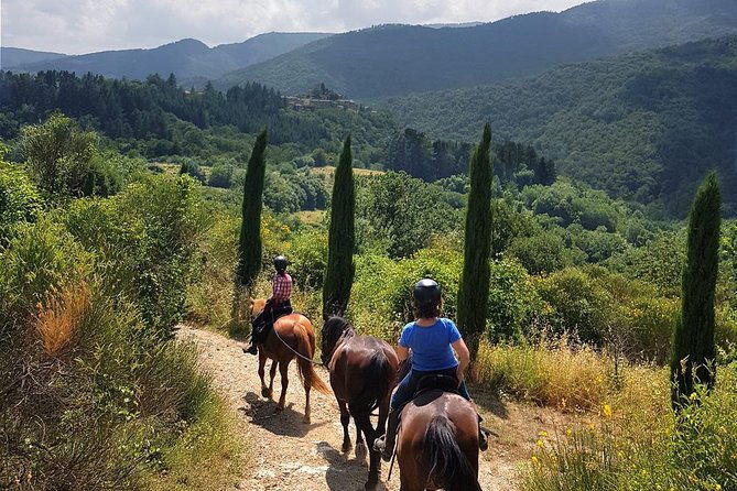 horse-riding-in-tuscany-for-experienced-riders-full-day-trail-ride