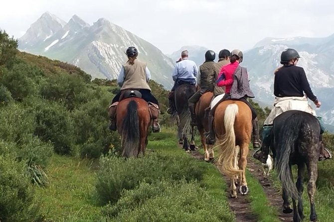 horse-riding-madrid-natural-park-long-trip