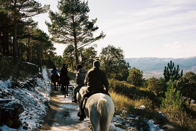 horse-riding-madrid-natural-park