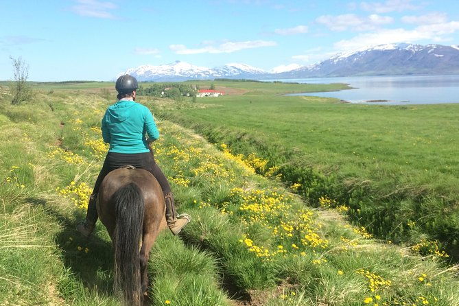 horse-riding-tour-in-akureyri